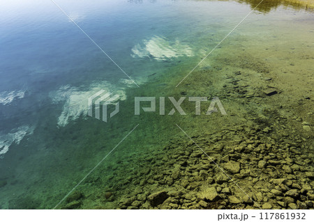 竹富島 コンドイ浜 竹富島 コンドイ浜 117861932