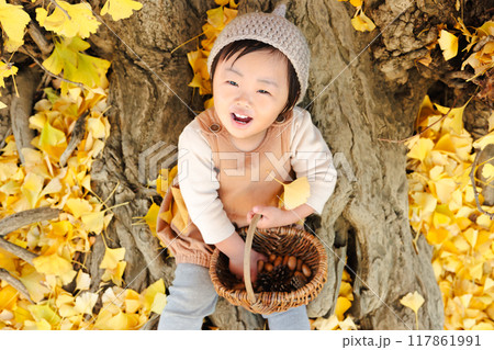 秋の公園で遊ぶ1歳児　どんぐり、松ぼっくり 117861991