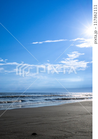 湘南の海を眺める（神奈川県藤沢市） 117862111