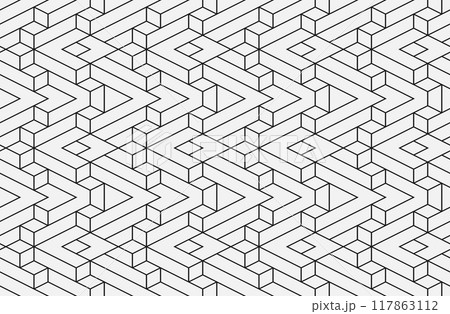 Abstract geometric seamless pattern. 117863112