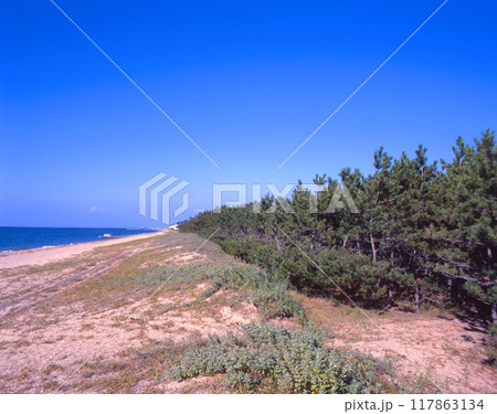 「淡路島・慶野松原」/日本の白砂青松100選/日本の渚百選/日本の夕陽百選 117863134