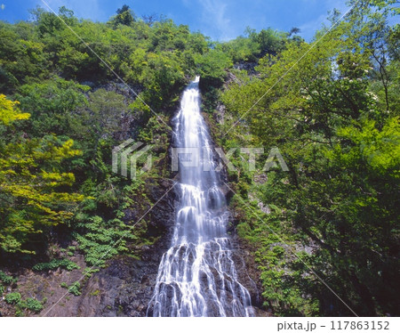 新緑深まる「天滝（てんたき）」/日本の滝百選/氷ノ山後山那岐山国定公園 /兵庫県養父市大屋町 117863152