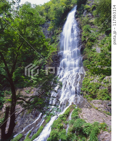 新緑深まる「天滝(てんたき)」/日本の滝百選/氷ノ山後山那岐山国定公園 /兵庫県養父市大屋町 新緑深まる「天滝(てんたき)」/日本の滝百選/氷ノ山後山那岐山国定公園 /兵庫県養父市大屋町 117863154