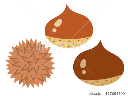 秋の味覚栗の実のベクターイラスト5 秋の味覚栗の実のベクターイラスト5 117863509