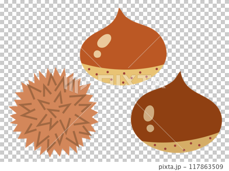 秋の味覚栗の実のベクターイラスト5 秋の味覚栗の実のベクターイラスト5 117863509