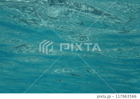 透明な海　慶良間諸島 117863566