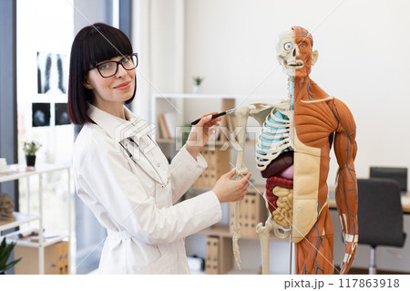 Female doctor explaining human anatomy with model in medical office 117863918