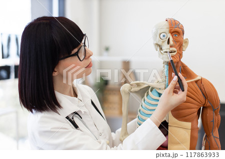 Female doctor explaining anatomy with human skeleton model 117863933