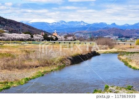 高崎市 烏川と山並みと満開桜並木 高崎市 烏川と山並みと満開桜並木 117863939