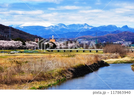 高崎市 烏川と山並みと満開桜並木 高崎市 烏川と山並みと満開桜並木 117863940