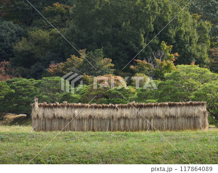 修学院離宮　田園風景（稲架） 117864089