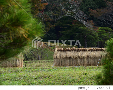 修学院離宮 田園風景(稲架) 修学院離宮 田園風景(稲架) 117864091