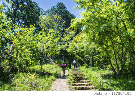 高尾山　高尾山から小仏城山への登山道 117864196