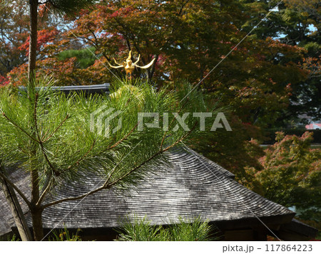 修学院離宮　上離宮　千歳橋 117864223