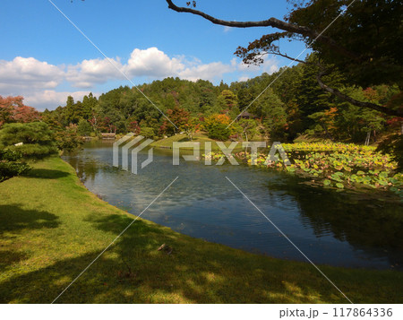 修学院離宮 上離宮 浴龍池 修学院離宮 上離宮 浴龍池 117864336