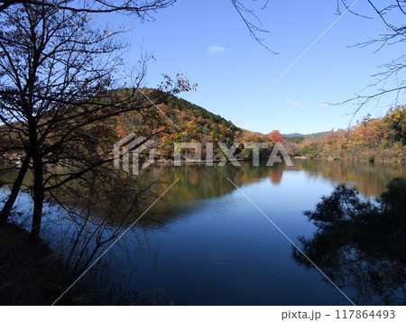 宝ヶ池（宝ヶ池公園）紅葉 117864493