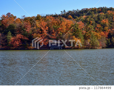 宝ヶ池(宝ヶ池公園)紅葉 宝ヶ池(宝ヶ池公園)紅葉 117864499