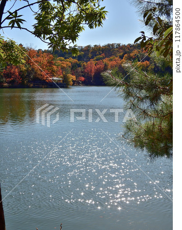宝ヶ池(宝ヶ池公園)紅葉 宝ヶ池(宝ヶ池公園)紅葉 117864500