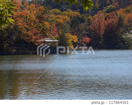 宝ヶ池(宝ヶ池公園)紅葉 宝ヶ池(宝ヶ池公園)紅葉 117864501