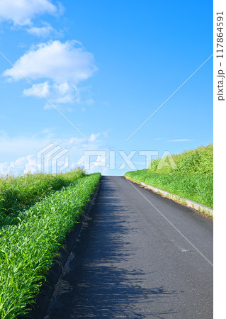 青い空　白い雲　夕陽ケ丘付近　荒川土手の風景　さいたま市 117864591