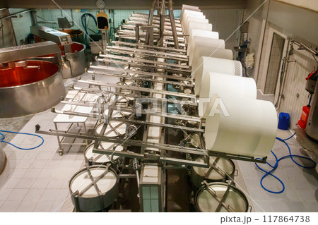 Interior of the cheese dairy factory. Equipment at cheese dairy plant 117864738