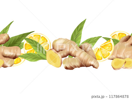Ginger roots and leaves seamless border. Hand drawn element for design, isolated on white background 117864878