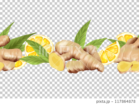 Ginger roots and leaves seamless border. Hand drawn element for design, isolated on white background 117864878