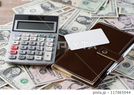 外貨取引イメージ（アメリカドル） 117865044