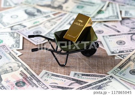 外貨取引イメージ（金　アメリカドル） 117865045