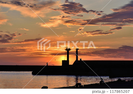 稲取港の朝 117865207