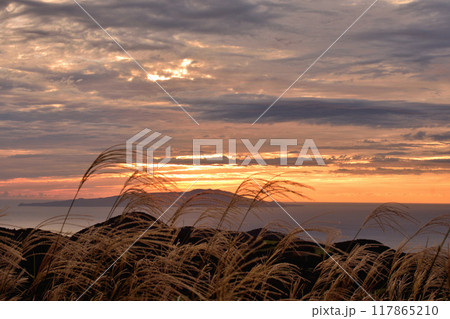 細野高原の朝 117865210