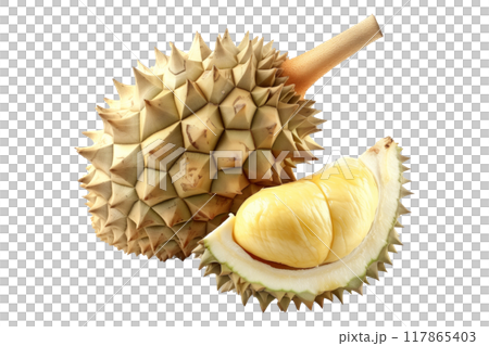 Two durian fruits reveal the creamy yellow flesh inside isolated on a white transparent background 117865403