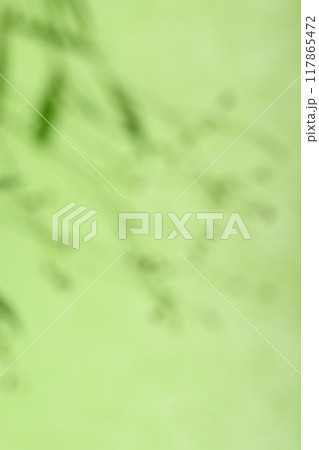 和紙と植物のボケ味コラボ【背景素材】 117865472