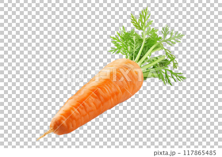 Fresh Imperator carrot with green leaves isolated on a white background. 117865485