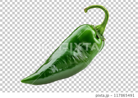 Green Poblano Ancho Chili Pepper isolated on a white background. 117865491