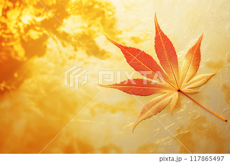 紅葉と金色のレトロな秋の背景イメージ 紅葉と金色のレトロな秋の背景イメージ 117865497
