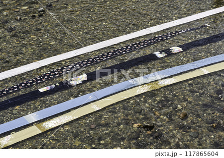 浅野川友禅流し 浅野川友禅流し 117865604