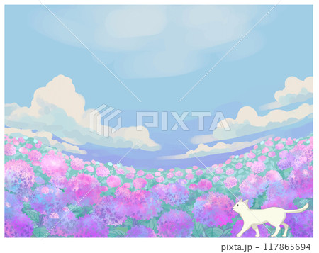 あじさいと白いネコと青空 117865694
