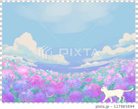 Hydrangea, white cat and blue sky Hydrangea, white cat and blue sky 117865694