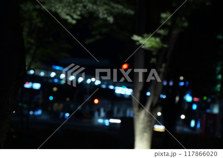 夜の武蔵小杉 117866020