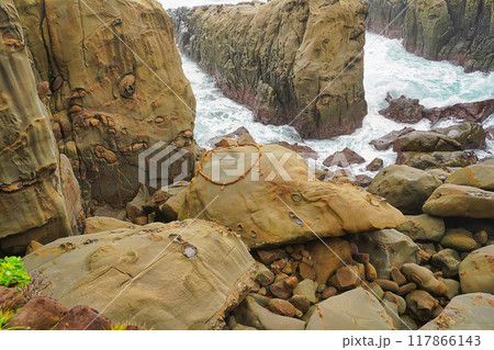 宮崎県日南市　鵜戸神宮　亀石 117866143