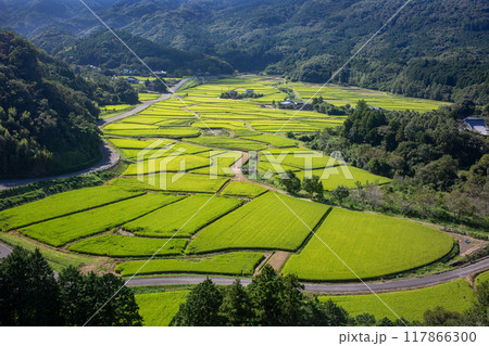 田染荘 田染荘 117866300