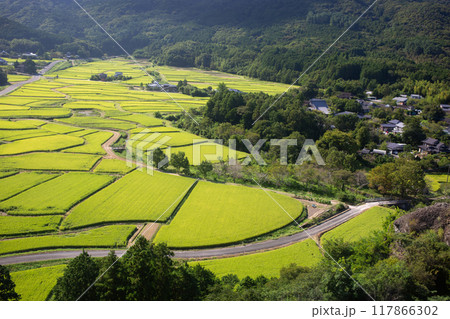 田染荘 田染荘 117866302