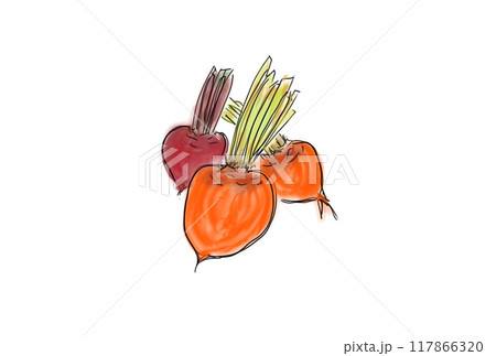 ビーツのデジタル手描きイラスト 117866320