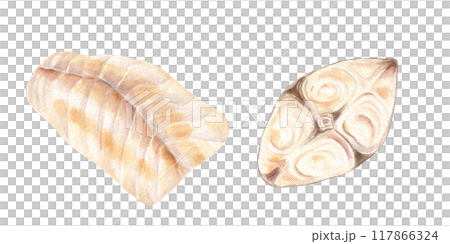 Steamed and grilled white fish steak and fillet ingredients watercolor illustration clipart. Cutting halibut and cod for healthy home food. For cookbook recipes, menu. Seafood top view 117866324