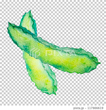 水彩插圖鹿豆 水彩插圖鹿豆 117866619