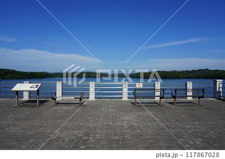 東京都民の水源 狭山湖こと山口貯水池 117867028