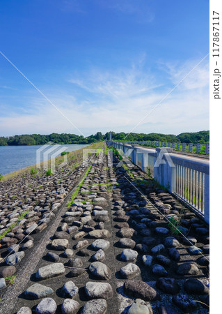 東京都民の水源 狭山湖こと山口貯水池 117867117