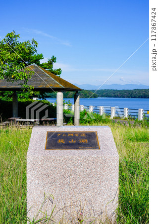 東京都民の水源 狭山湖こと山口貯水池 117867424