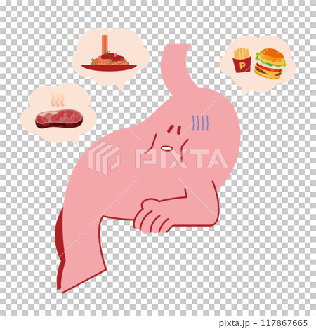 お腹が空いた胃 空腹の胃 胃袋 お腹が空いた胃 空腹の胃 胃袋 117867665